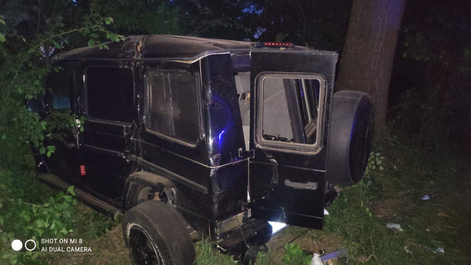 Helen Clifford Law - Nick Sturdee's Story